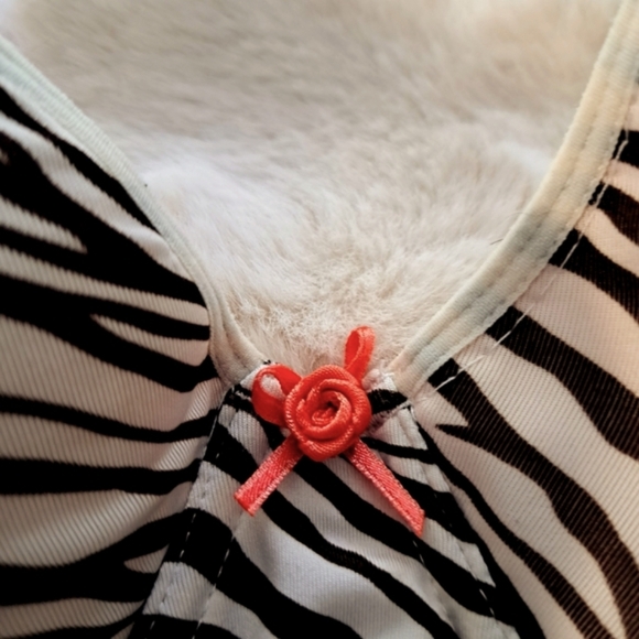 Bra - Picture 1 of 3